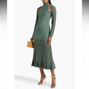 Hervé Léger
Women's Green Mesh-paneled Ribbed-knit Turtleneck Midi Dress